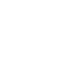 Bridges